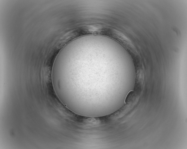 X0000115150421200911101733