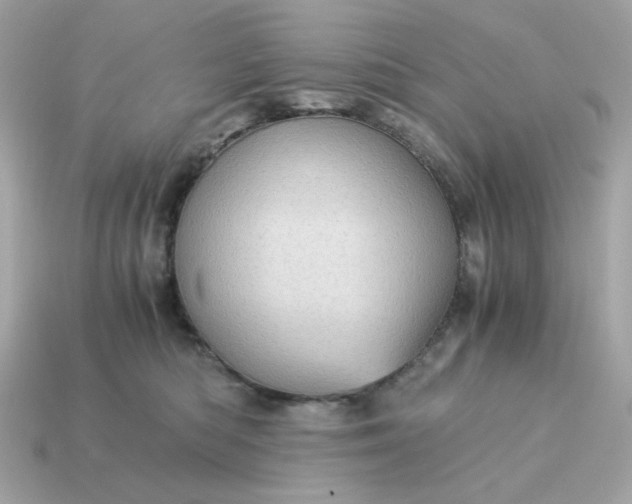 X0000115150422200911101733