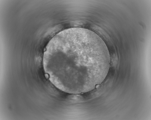 X0000115150427200911101733