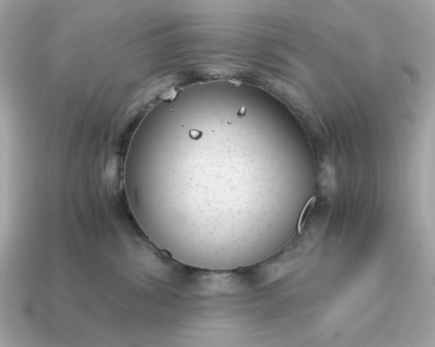 X0000115150428200911101733