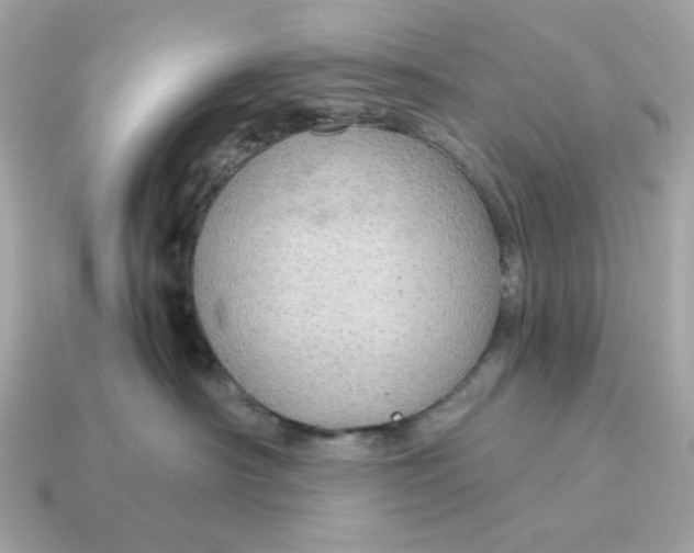 X0000115150430200911101733
