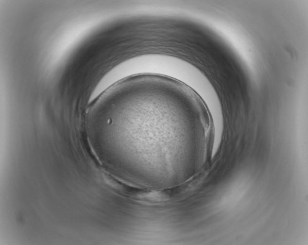 X0000115150431200911101733
