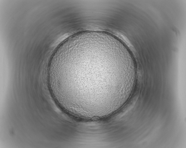 X0000115150433200911101732
