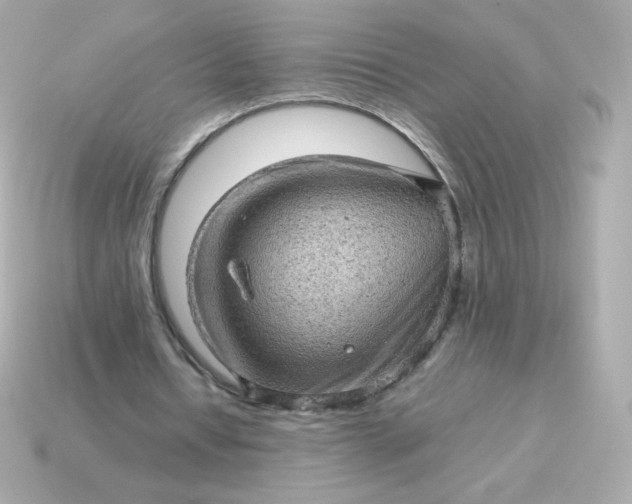 X0000115150434200911101732
