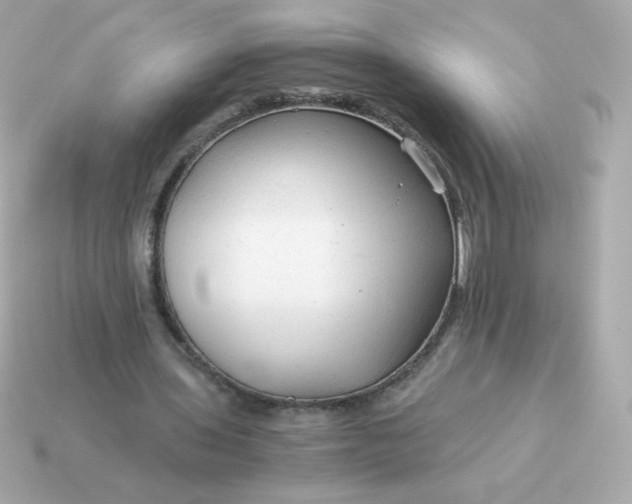 X0000115150435200911101732