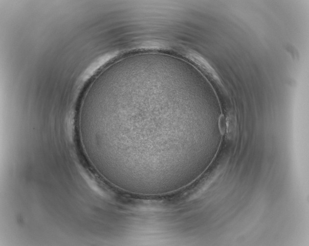 X0000115150436200911101732