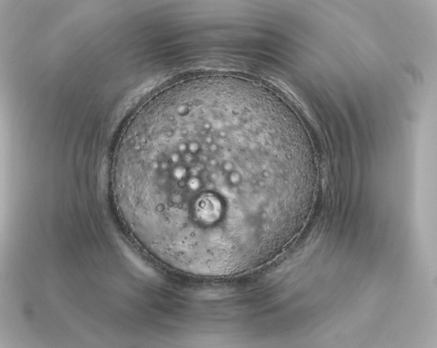 X0000115150445200911101732