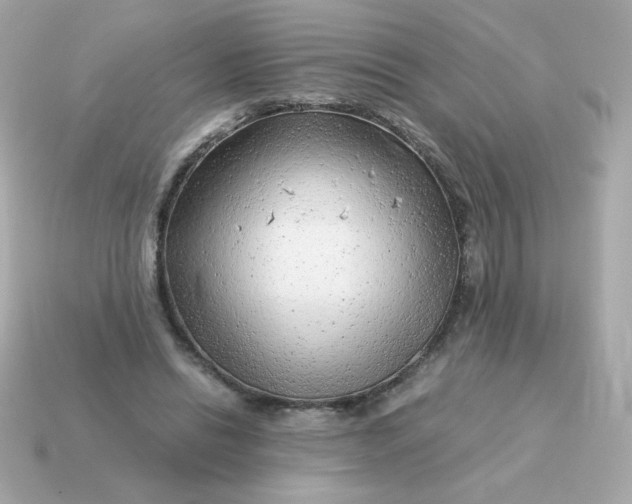 X0000115150446200911101732