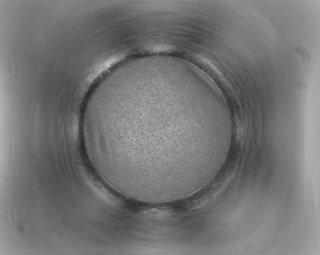 X0000115150447200911101732