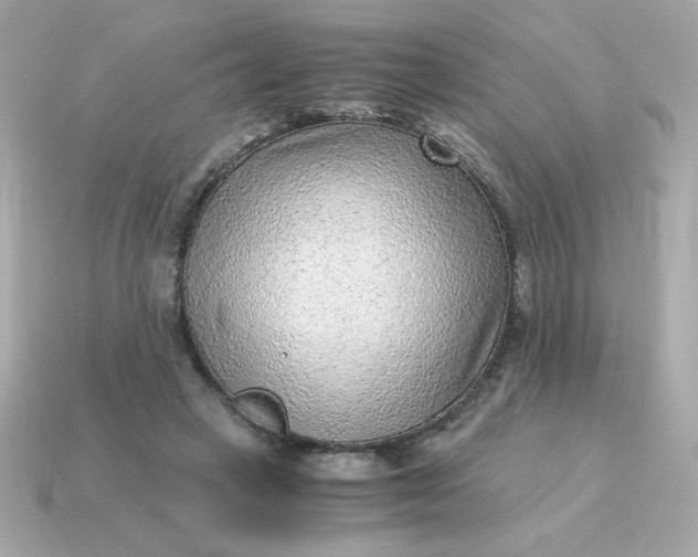 X0000115150449200911101732