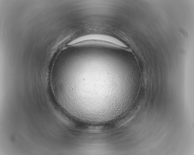X0000115150450200911101732
