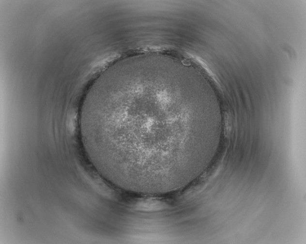 X0000115150451200911101732