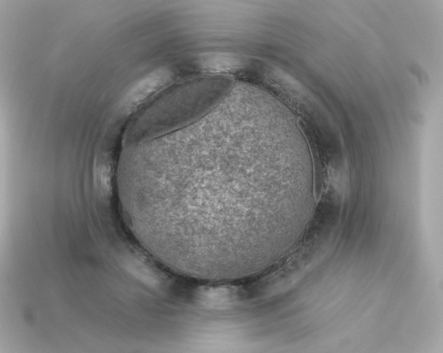 X0000115150452200911101732