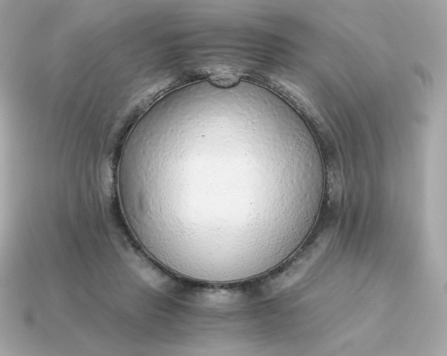 X0000115150453200911101732