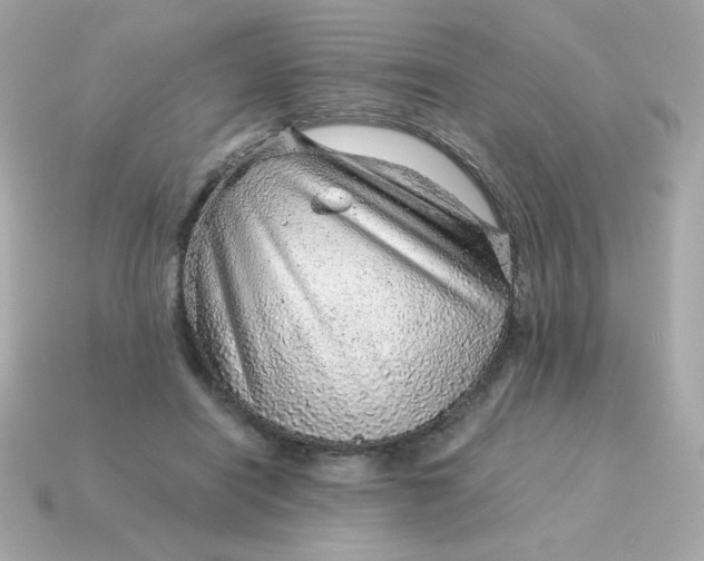X0000115150454200911101732
