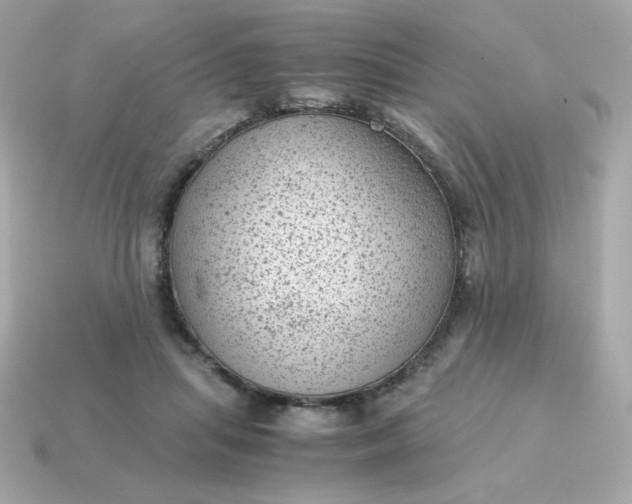 X0000115150455200911101732