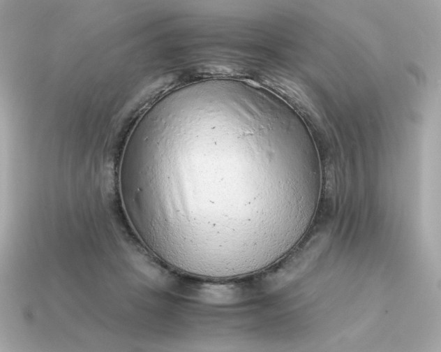 X0000115150457200911101732