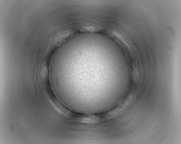 X0000115150459200911101732
