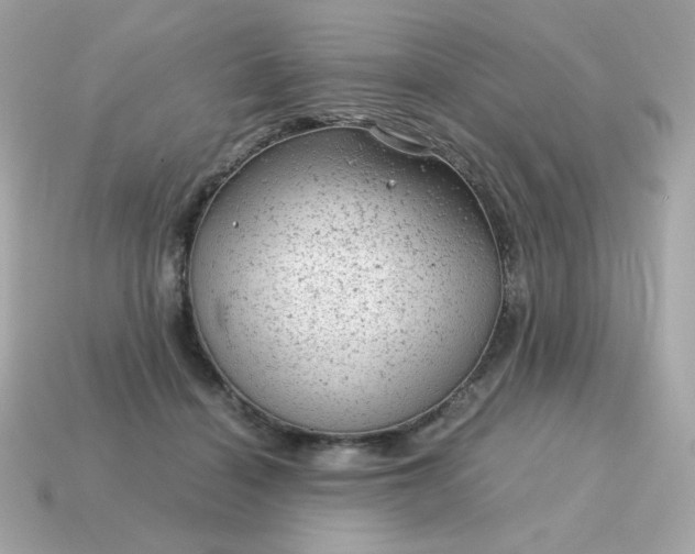 X0000115150460200911101732