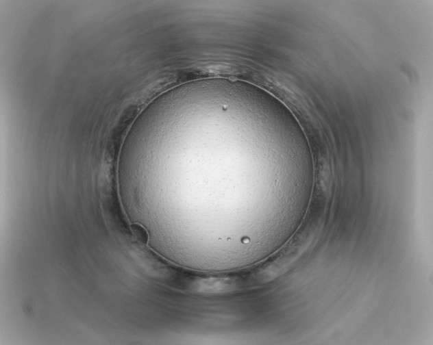 X0000115150461200911101733