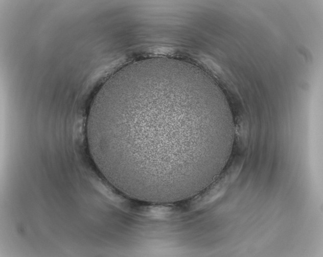 X0000115150462200911101733