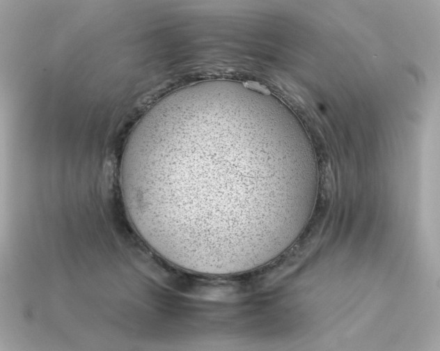 X0000115150463200911101733
