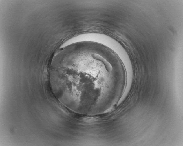 X0000115150465200911101733