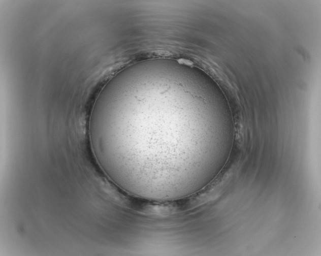 X0000115150466200911101733