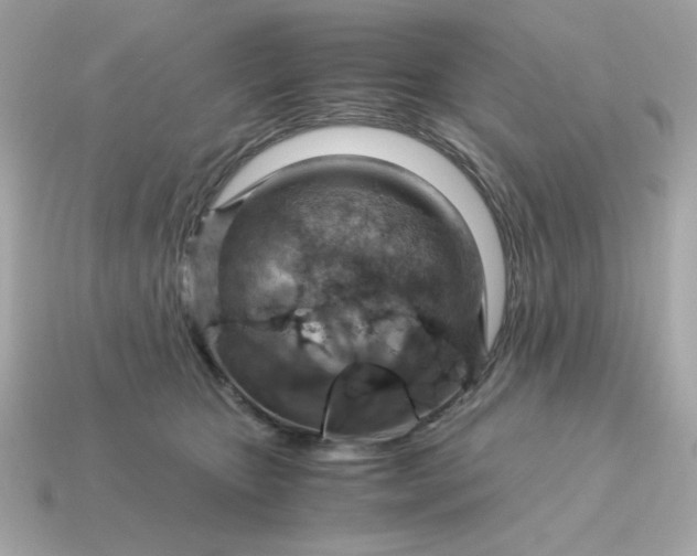 X0000115150467200911101733