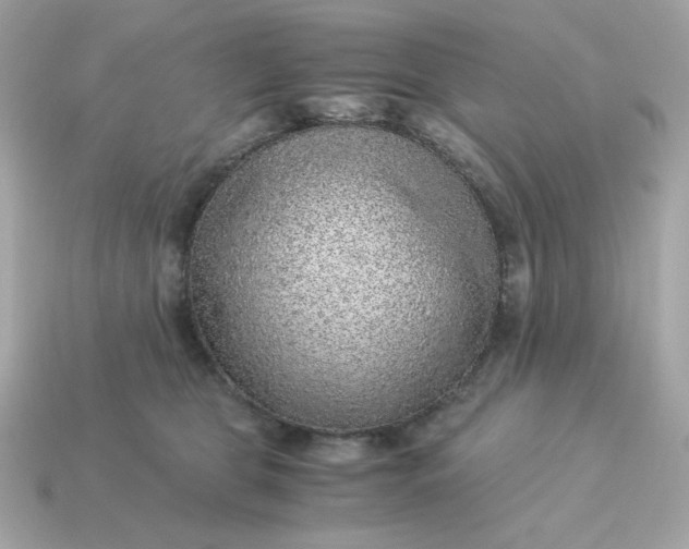 X0000115150469200911101733