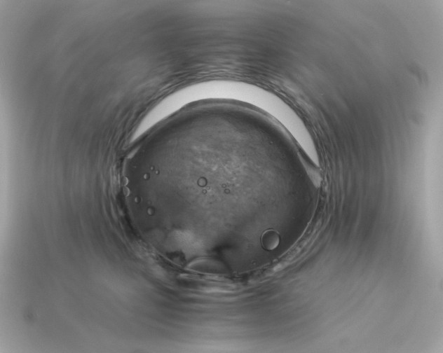 X0000115150471200911101733
