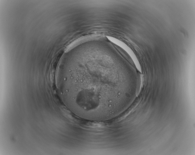 X0000115150475200911101733