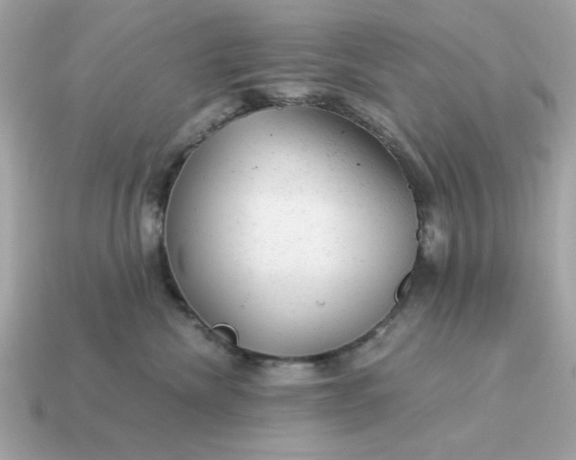 X0000115150476200911101733
