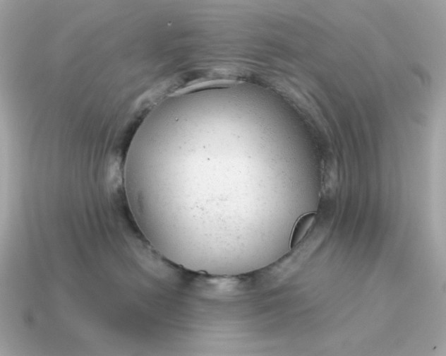 X0000115150478200911101733