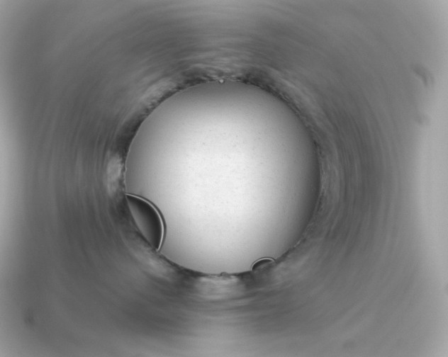 X0000115150480200911101733