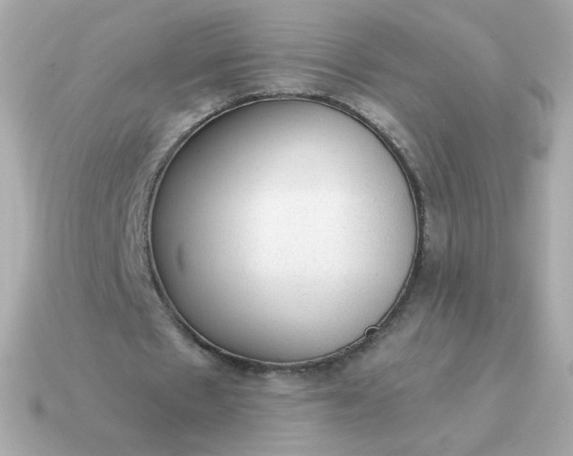 X0000115150481200911101732