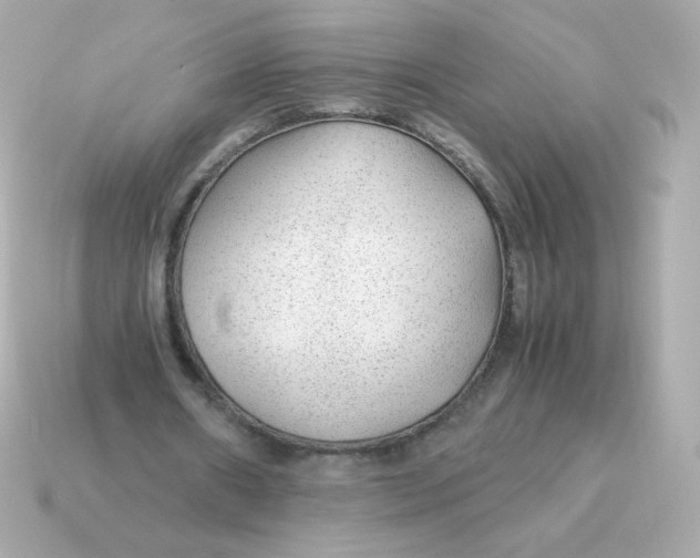 X0000115150482200911101732