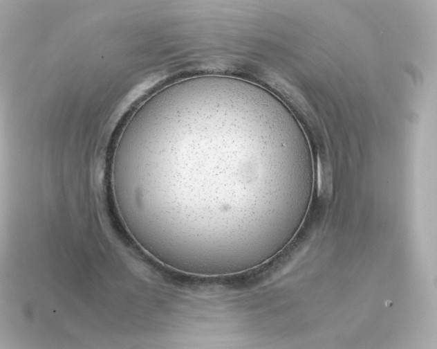 X0000115150483200911101732