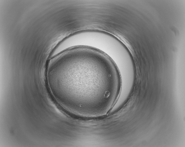 X0000115150485200911101732