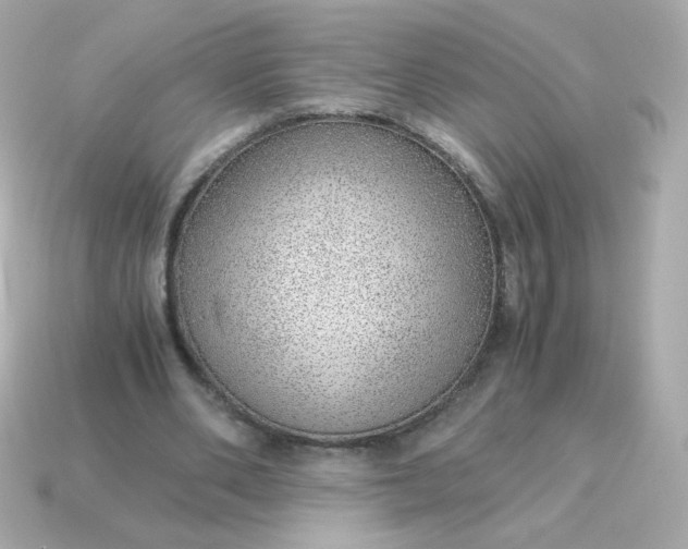 X0000115150486200911101732