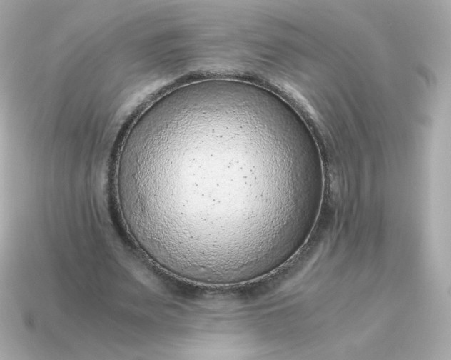 X0000115150487200911101732