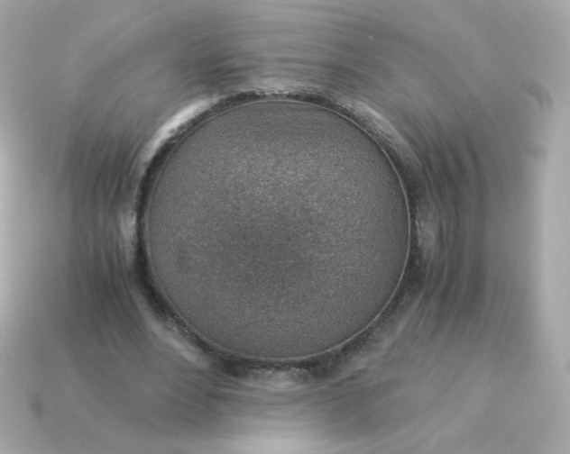 X0000115150488200911101732