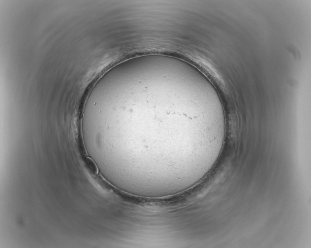 X0000115150489200911101732