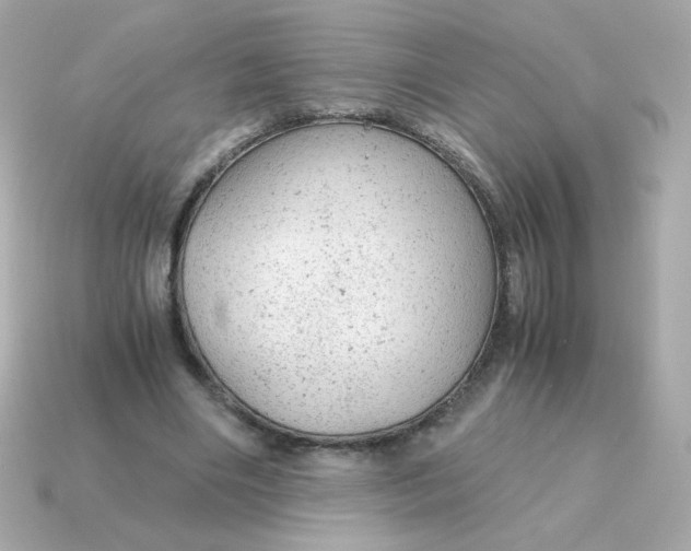 X0000115150490200911101732