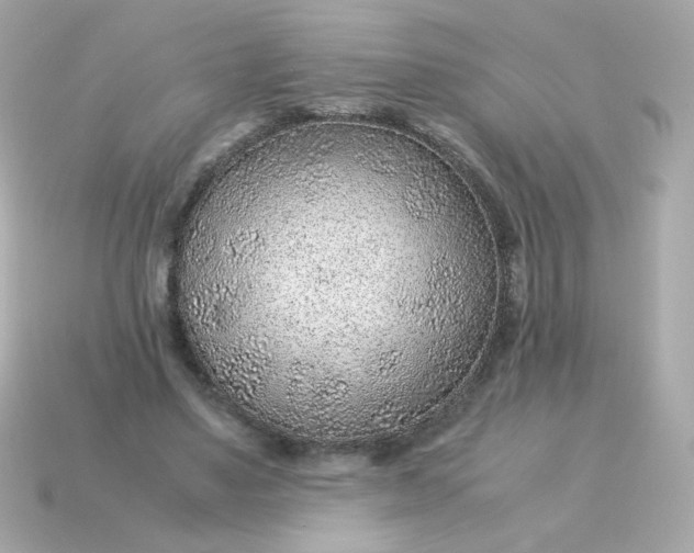 X0000115150491200911101732