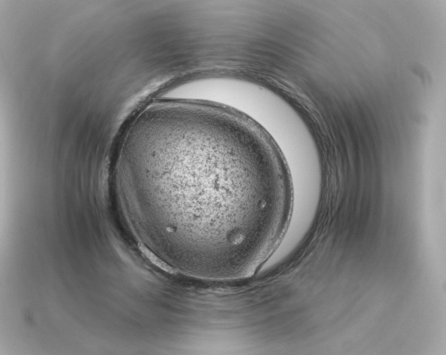 X0000115150492200911101732