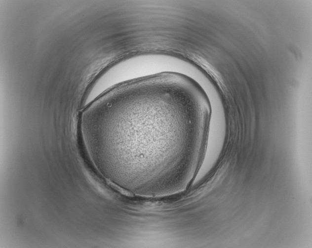 X0000115150493200911101732