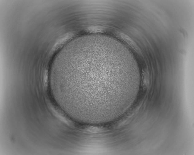 X0000115150494200911101732