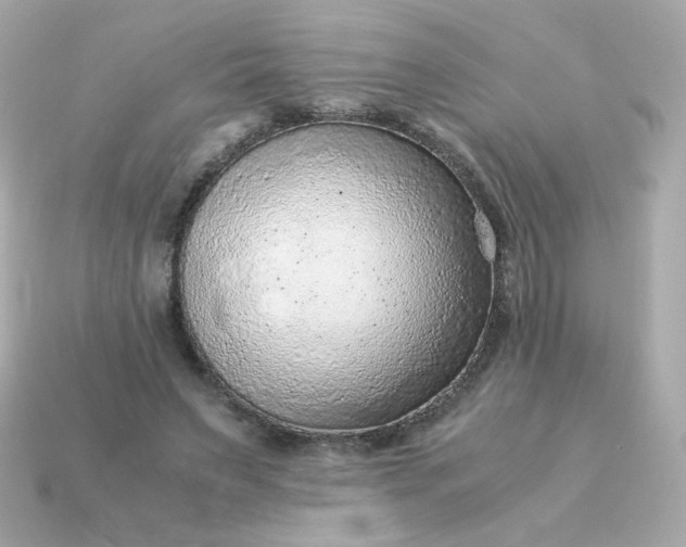 X0000115150495200911101732