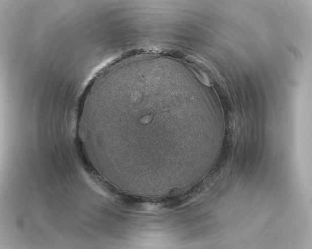 X0000115150496200911101732